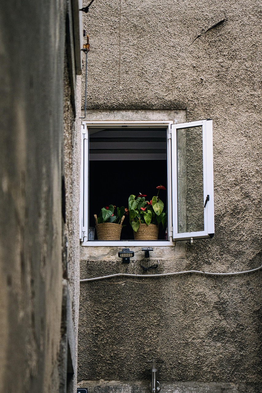 window, plants, city, nature, window sill, house, croatia, architecture, building, facade